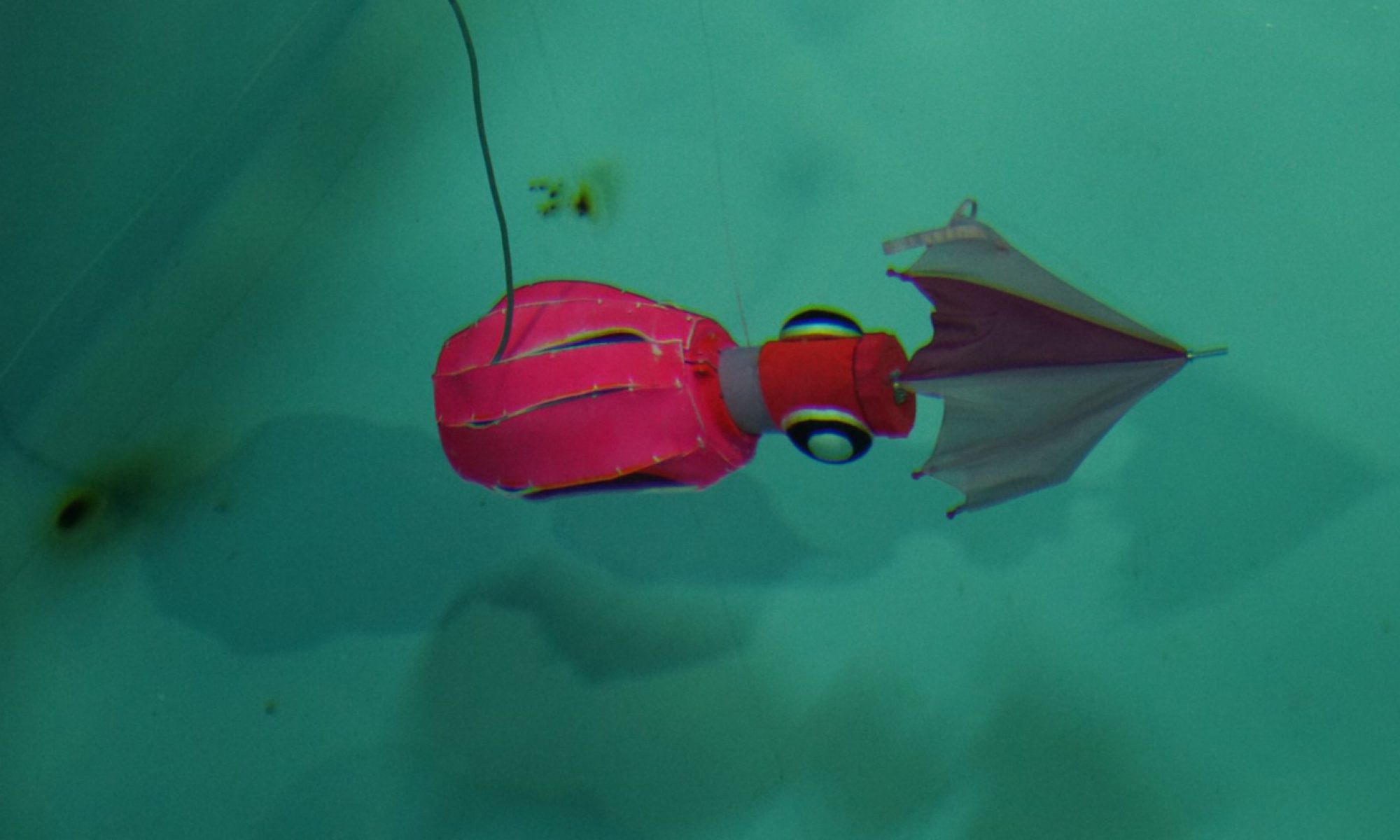 水中ロボットコンベンション in JAMSTEC 2019 ～海と日本プロジェクト～